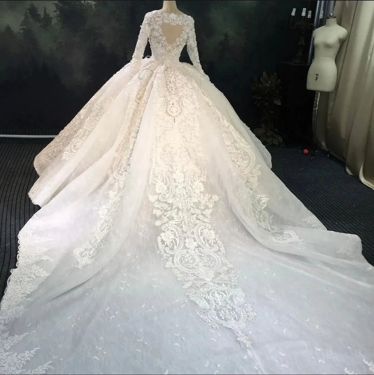 AM285 Long Sleeve Crystal 3D Flowers Royal Luxury Wedding Dress