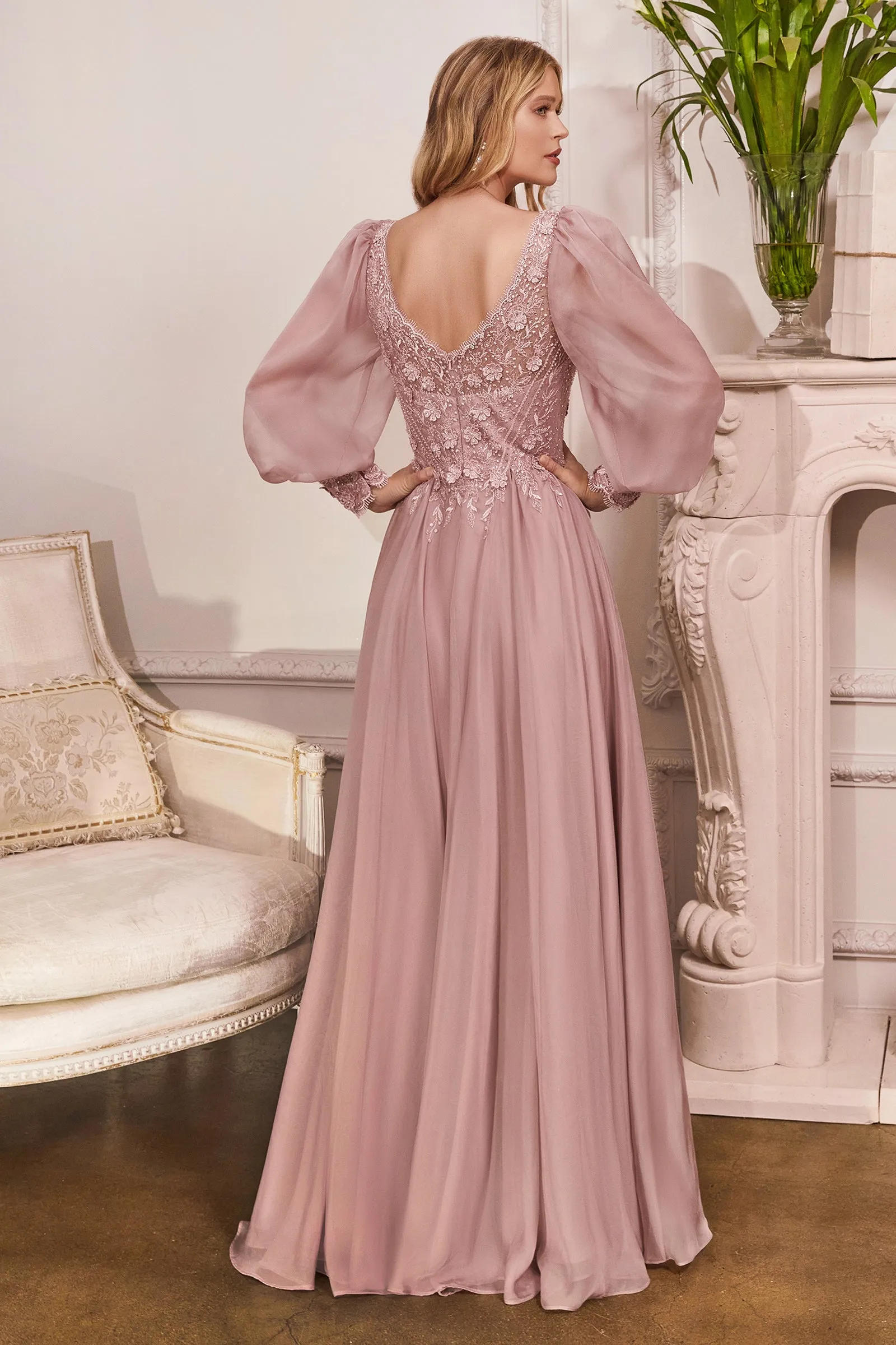 Aurora | Long Sleeve Chiffon Evening Gown | LaDivine CD0183