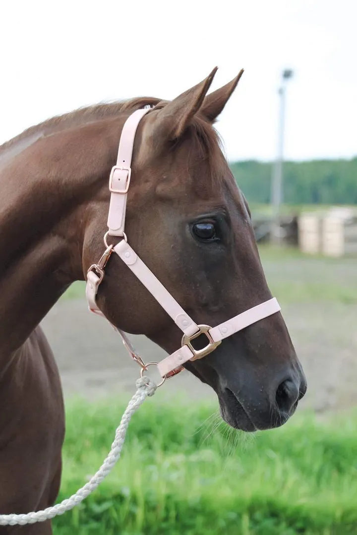 iCavalos Horse Halter Candy Pink