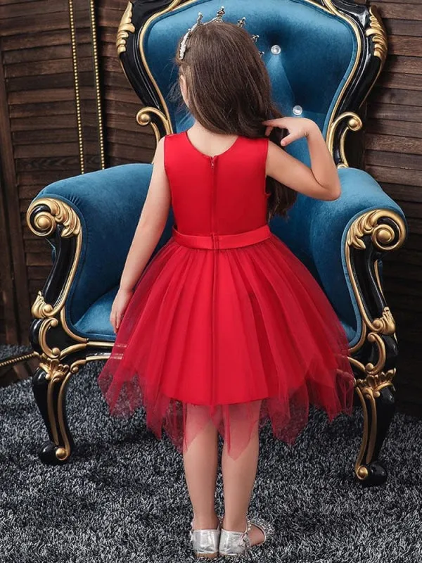 Sleeveless Embroidered Kids Social Party Dresses Flower Girl Dresses