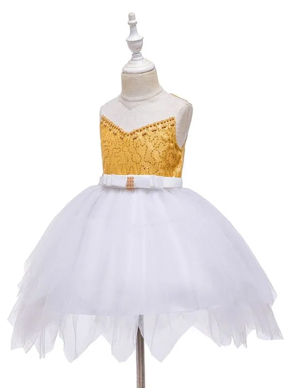 Sleeveless Embroidered Kids Social Party Dresses Flower Girl Dresses